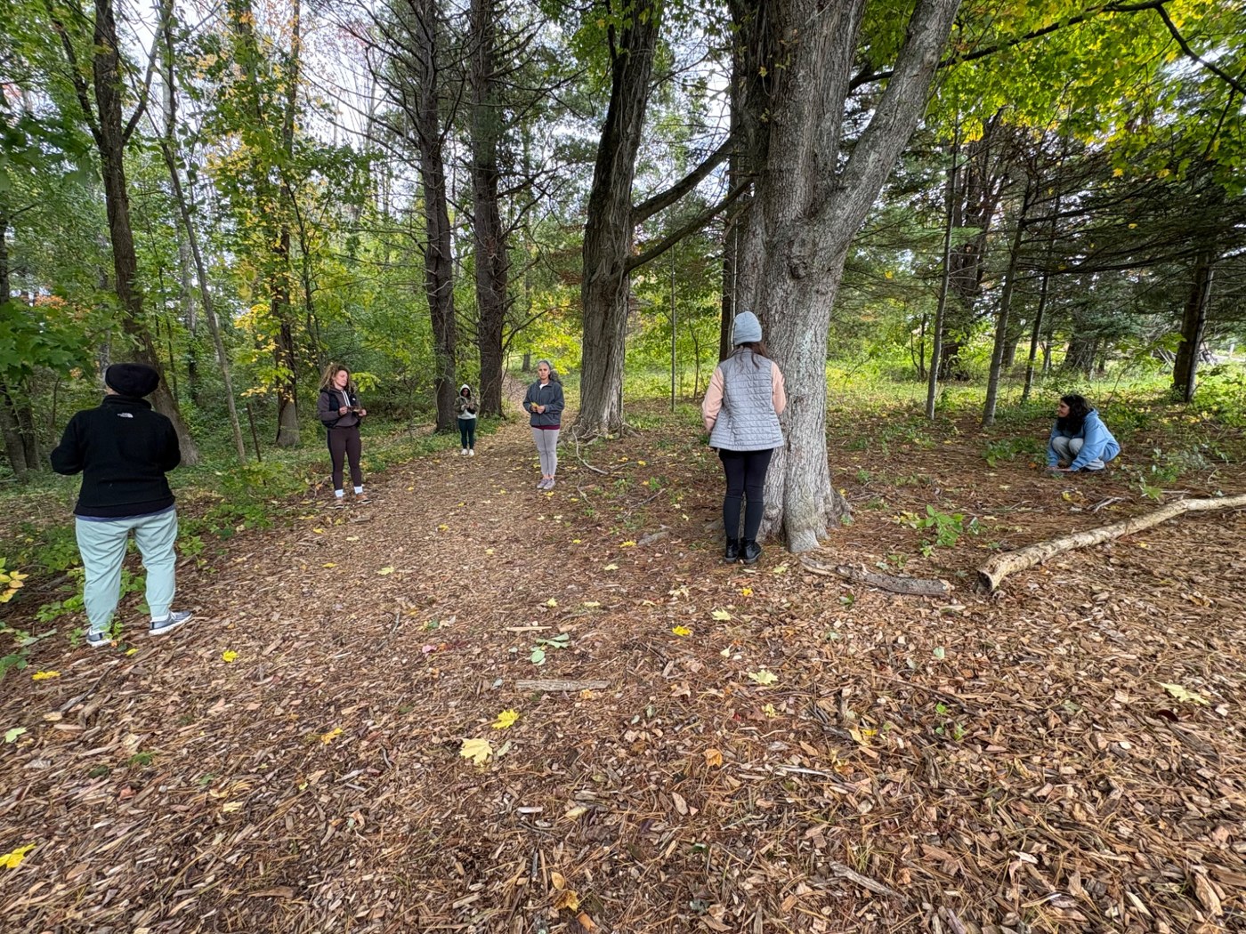 Participants gathering beneath the trees at Evergreen Farm
